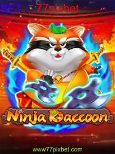 NinjaRaccoon